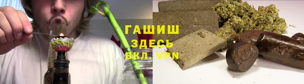 ГАЛЛЮЦИНОГЕННЫЕ ГРИБЫ Беломорск