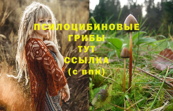 ГАЛЛЮЦИНОГЕННЫЕ ГРИБЫ Беломорск