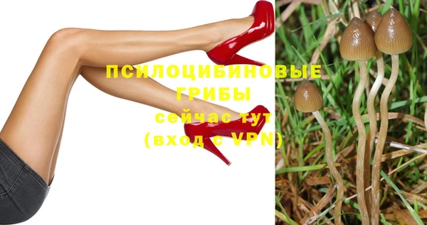 ГАЛЛЮЦИНОГЕННЫЕ ГРИБЫ Беломорск
