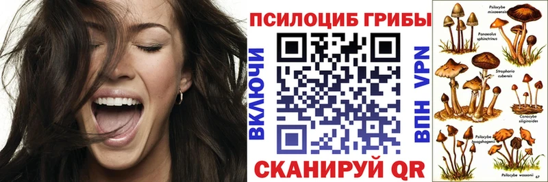 Псилоцибиновые грибы GOLDEN TEACHER  Малмыж 