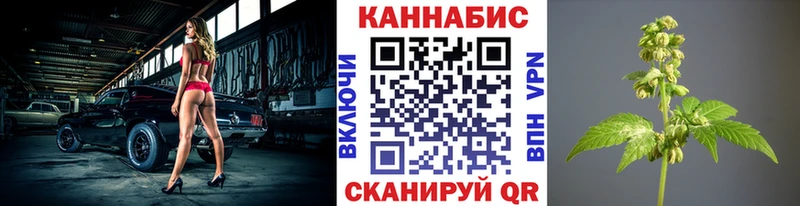 KRAKEN как войти Малмыж Бошки Шишки тримм что такое наркотик